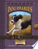 Dash cover