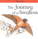 The Journey of a Swallow cover