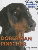 Doberman Pinscher cover