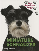 Miniature Schnauzer cover