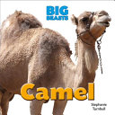 Camel cover