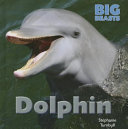 Dolphin cover