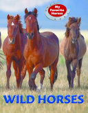 Wild Horses cover