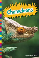 Chameleons cover