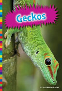 Geckos cover