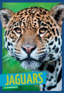 Jaguars cover