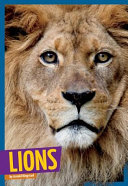 Lions cover