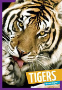 Tigers cover