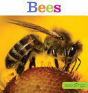 Bees cover