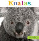 Koalas cover