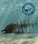 Bermuda Triangle cover