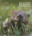 Beavers cover