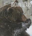 Brown Bears (Creative Education) cover