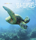 Sea Turtles cover