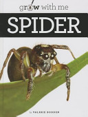 Spider cover