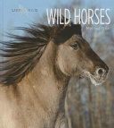 Wild Horses cover