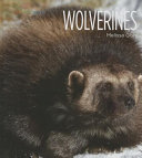 Wolverines cover