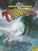 Tsunamis (Weigl/AV2) cover
