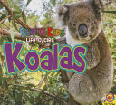 Koalas cover