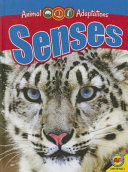 Senses (Weigl/AV2) cover
