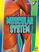 The Muscular System/Muscular System cover