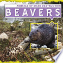 Beavers cover