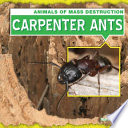 Carpenter Ants cover