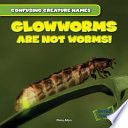 Glowworms Are Not Worms! cover