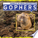 Gophers cover