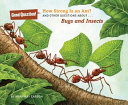 How Strong Is an Ant? And Other Questions About...Bugs and Insects cover