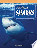 All About Sharks: Units of Measure cover