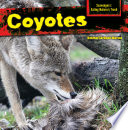 Coyotes cover