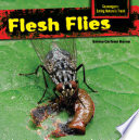 Flesh Flies cover