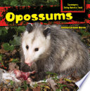 Opossums cover