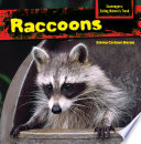 Raccoons cover