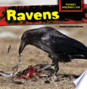 Ravens cover