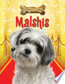 Malshis cover