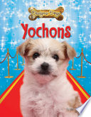 Yochons cover