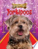Yorkipoos cover