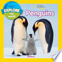 Penguins cover