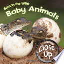 Born in the Wild: Baby Animals cover