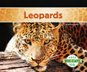 Leopards cover