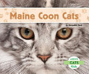 Maine Coon Cats cover