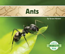 Ants cover