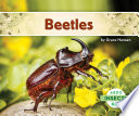 Beetles cover