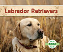 Labrador Retrievers cover