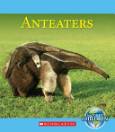 Anteaters cover