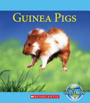 Guinea Pigs cover