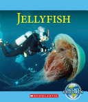 Jellyfish cover