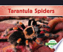Tarantula Spiders cover